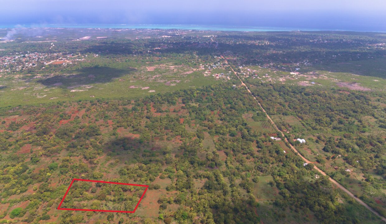 Fertile Farmland with Established Fruit Trees in Southeast Makunduchi - Image 1