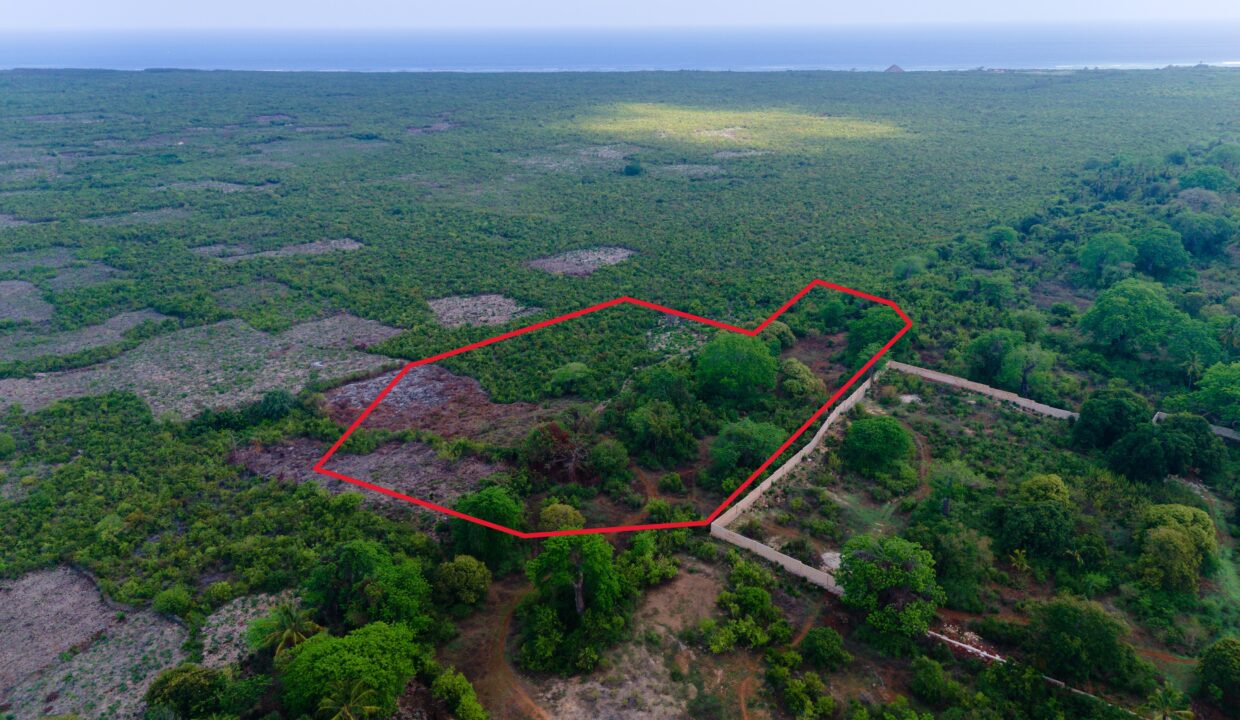 Expansive Farmland Opportunity in Makunduchi, Zanzibar