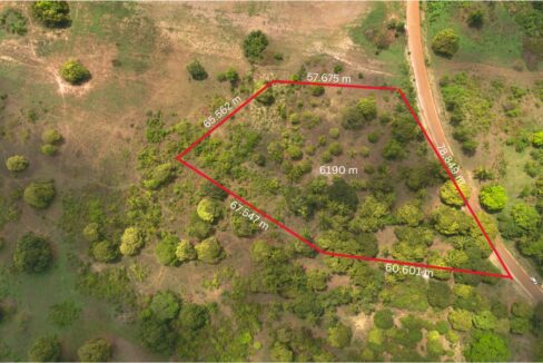 Verdant Agricultural Oasis with Mature Fruit Grove in Makunduchi - Image 1