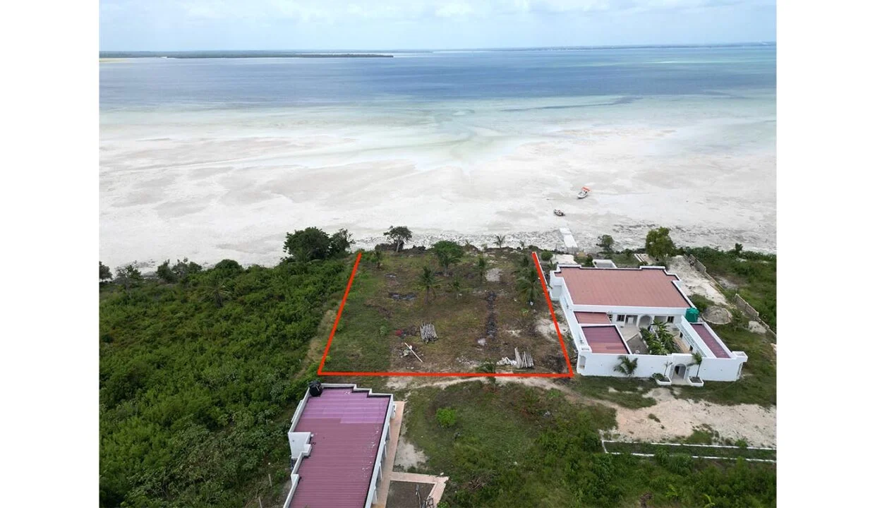 Sunset Beach Paradise in Michamvi - Image 1