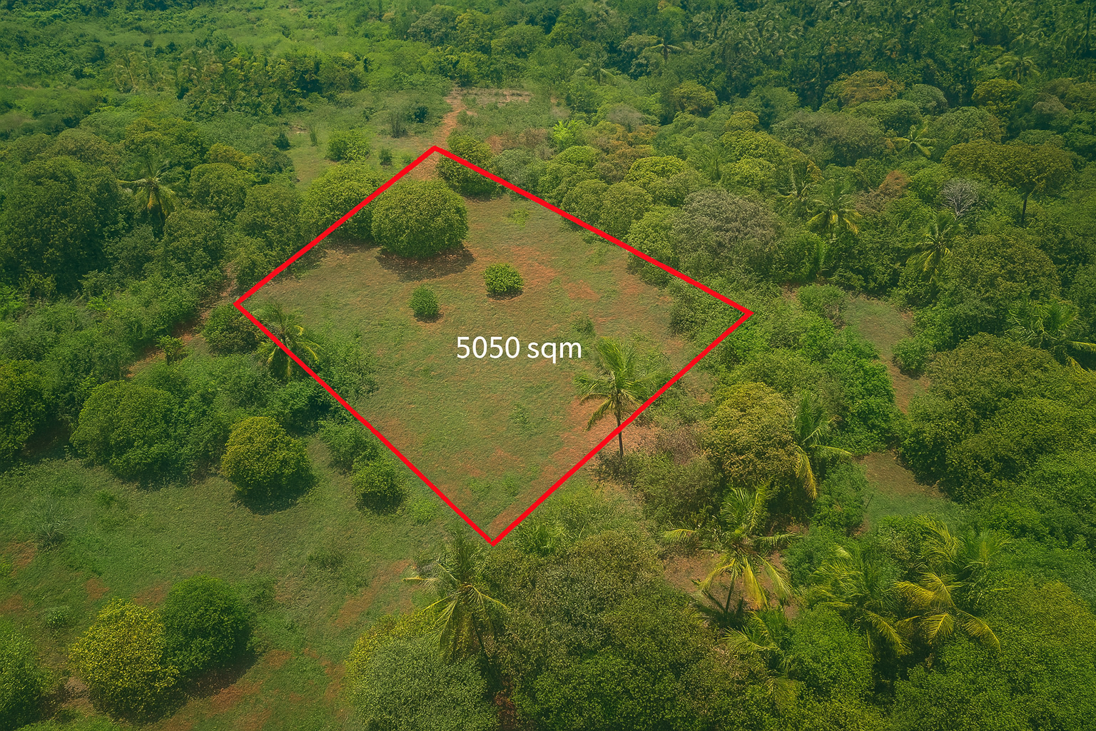 Exceptional Agricultural Plot with Palm Grove in Southeast Makunduchi