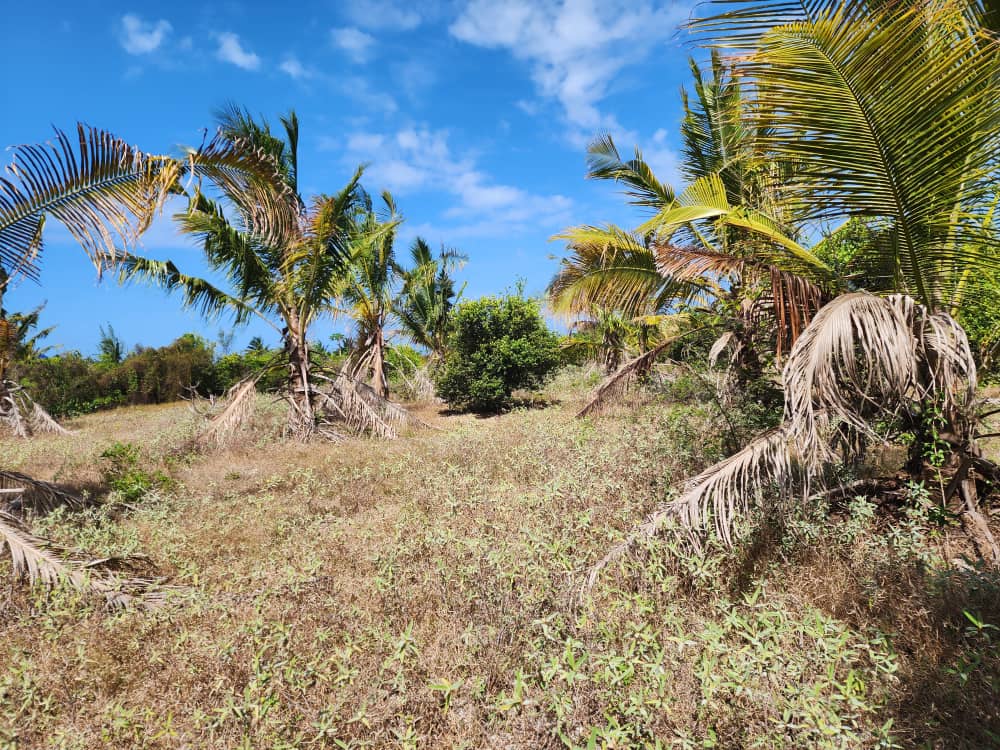Farm Land Ideal for Development in Paje - Image 1