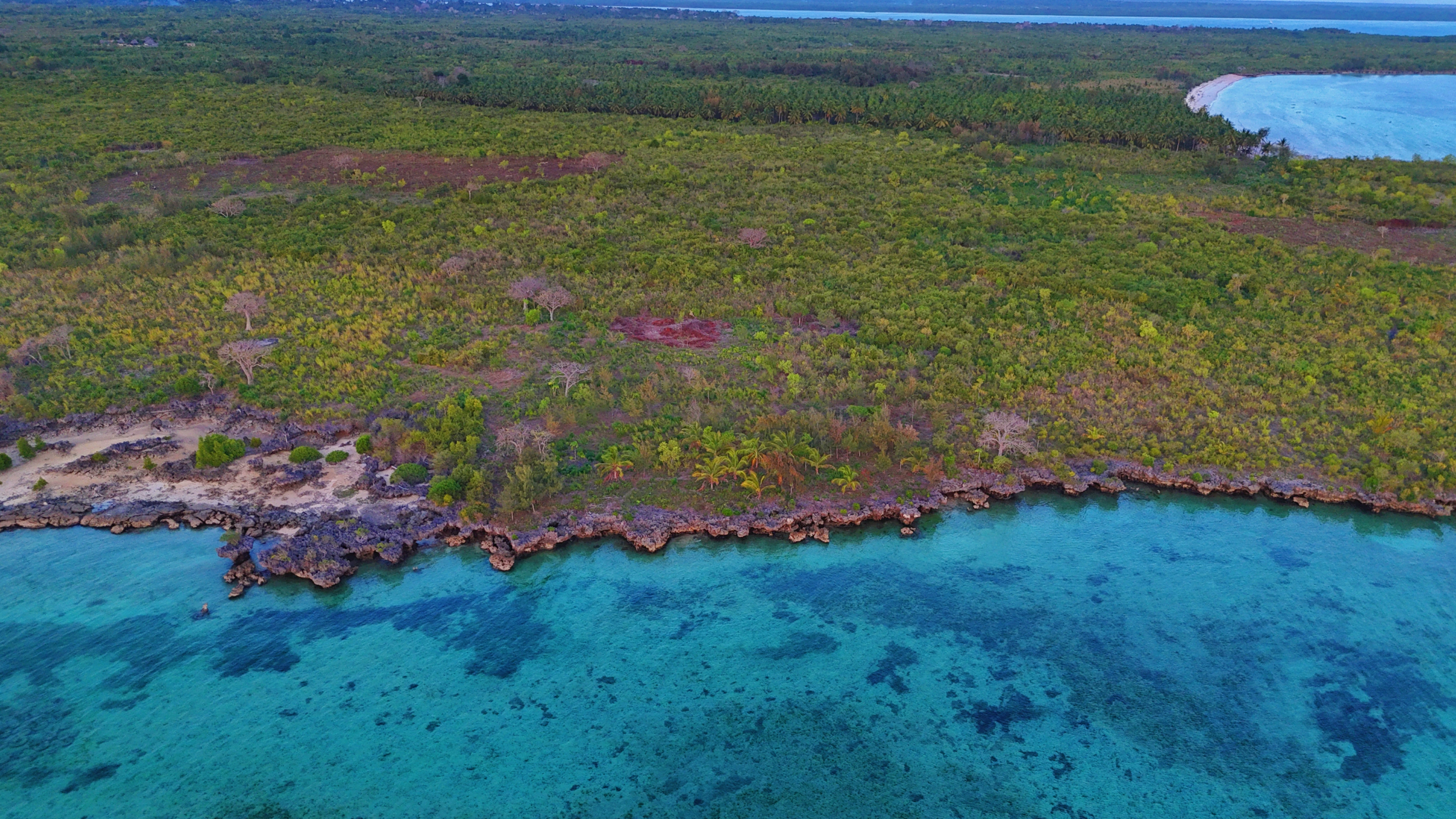 Exceptional 6400 sqm Oceanfront Plot on Uzi Island (62m of Coastline) - Image 1